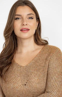 Toscane Boutique Pulls & Cardigans|Pull col V CAMEL