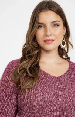 Toscane Boutique Pulls & Cardigans|Pull col V VIOLINE