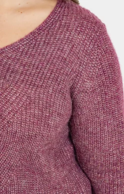 Toscane Boutique Pulls & Cardigans|Pull col V VIOLINE